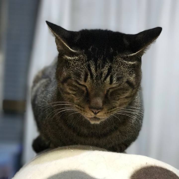 E8af243d d28a 47f8 af8d c59896edf8a7