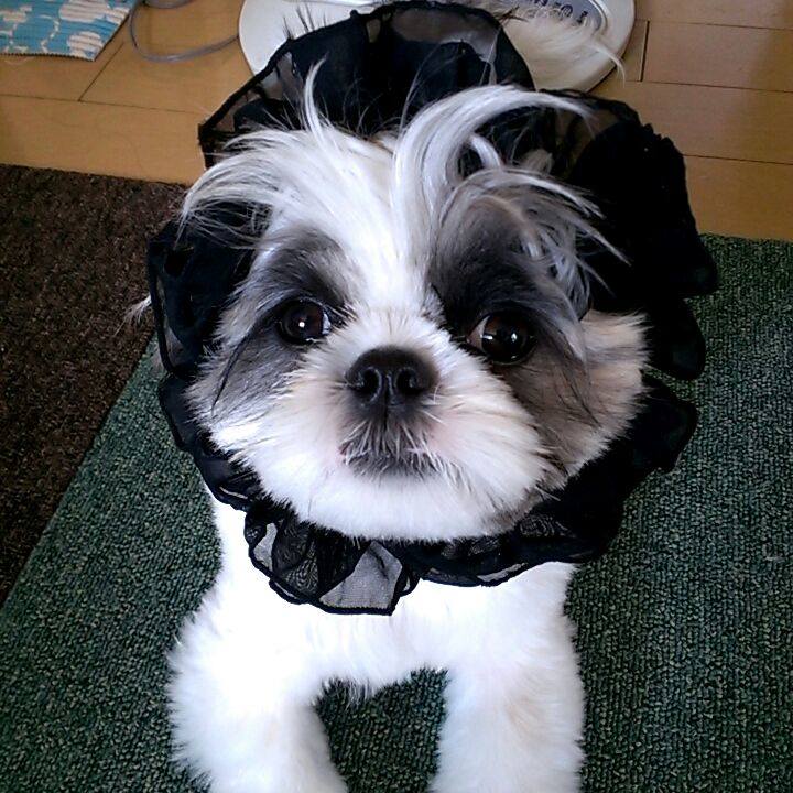 E8af4ce1 5c2e 463c b532 3f995599d3ae