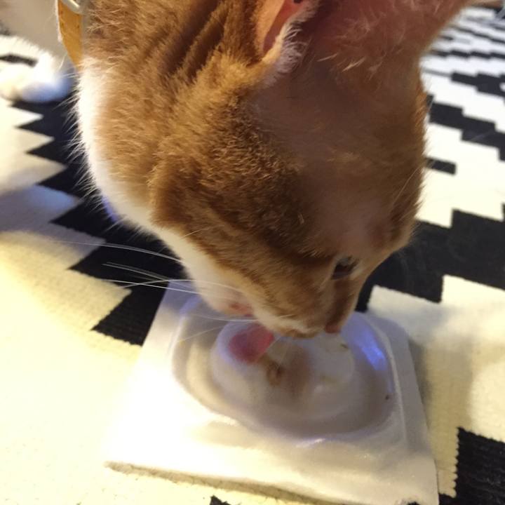 E8af5d08 3878 4064 a85d a08575a4354a