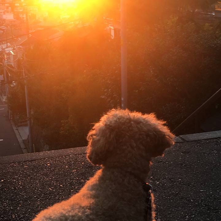 E8afd492 93e1 4cb8 9a22 742b423247b5