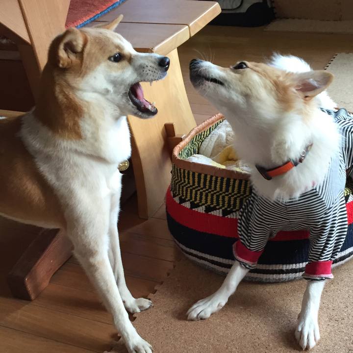 E8b0d2f2 5939 46c1 b143 27d405121df3