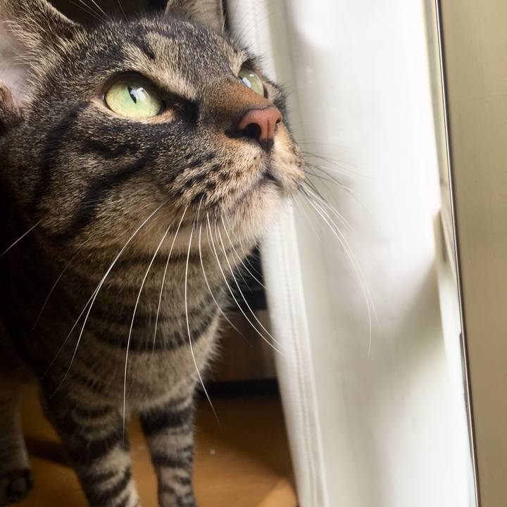 E8b12657 4eea 4c0c b22a bd29d7b363fe