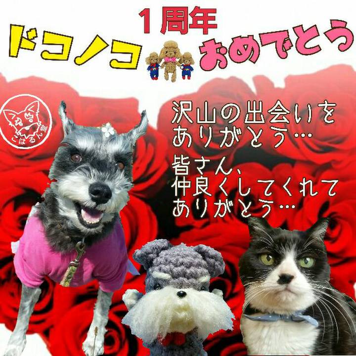 E8b13879 e7e6 4754 868c 94dae8622f48