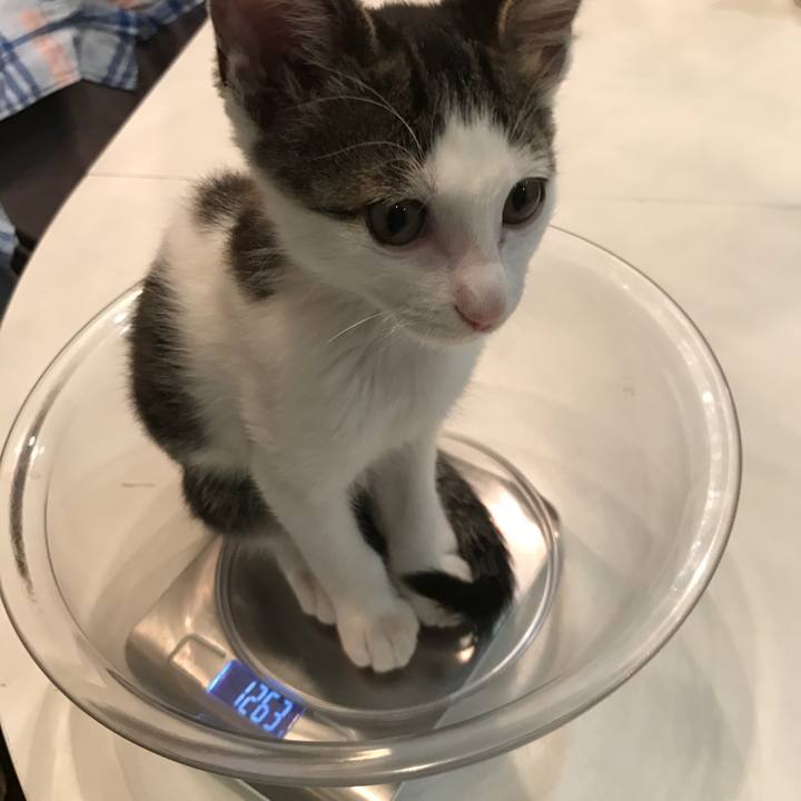 E8b1e9c2 5982 4722 9d62 f75f2574343b