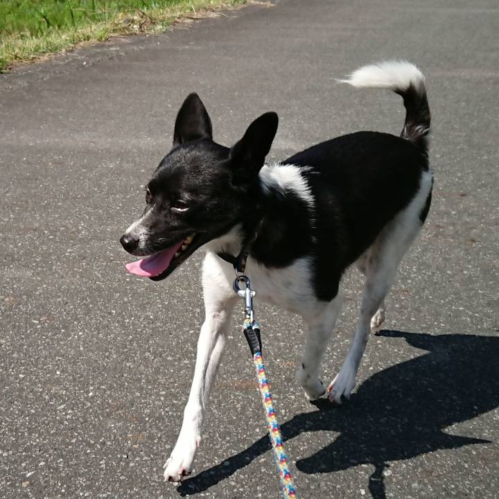 E8b2148b 491e 417a 912e 25ef2f567ab1