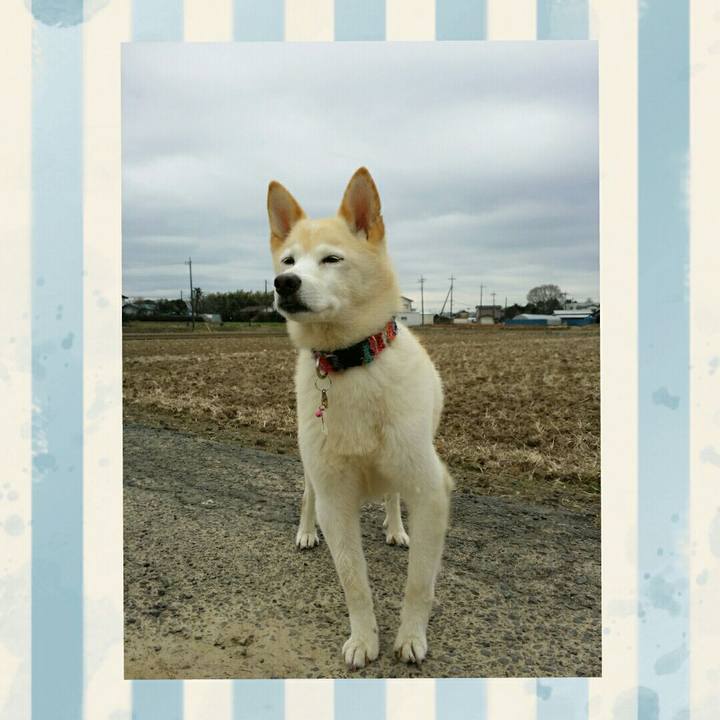 E8b221b0 131e 474d 92d8 130199ae40a9