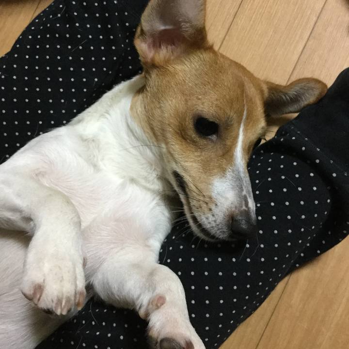 E8b2335d b75d 40bc be27 d6b33ea4b864