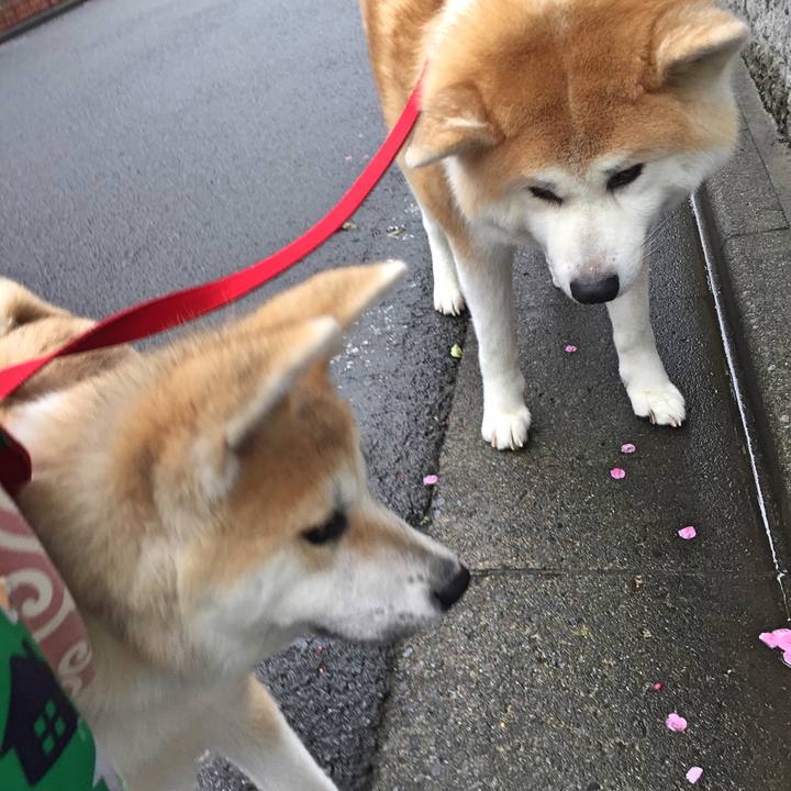 E8b23bd8 ba45 4c22 be35 1e1c0571140e