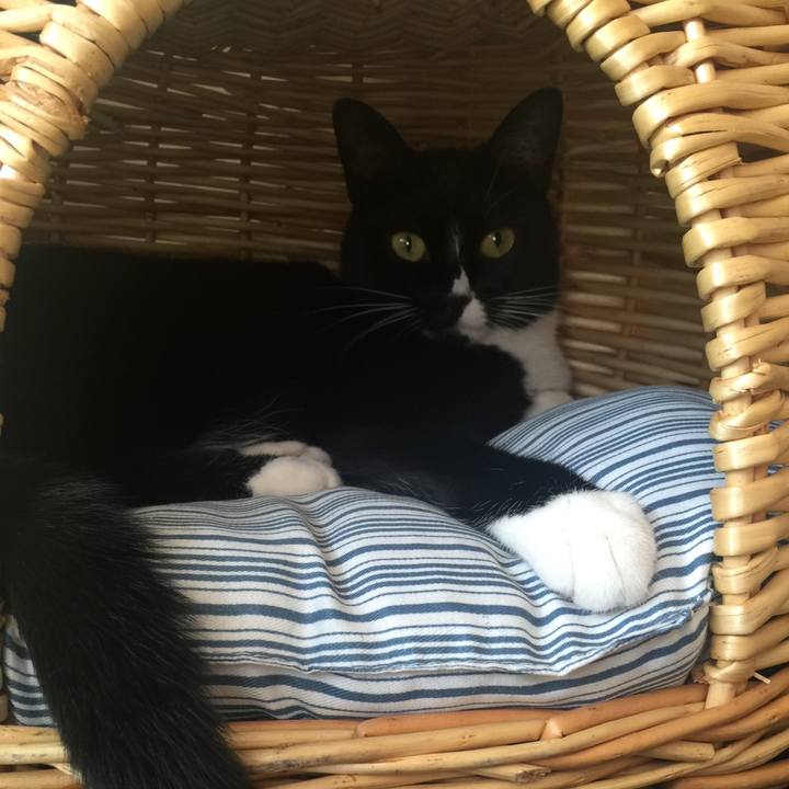 E8b2909a 6f4b 4bcd adce 1e88747c1c13