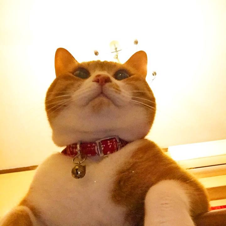 E8b43293 614f 4f11 9dc8 1da83d0cc42f