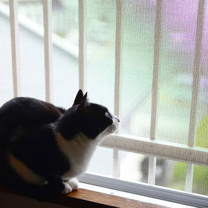 E8b445a3 785a 446c a43c f0925b720ecd