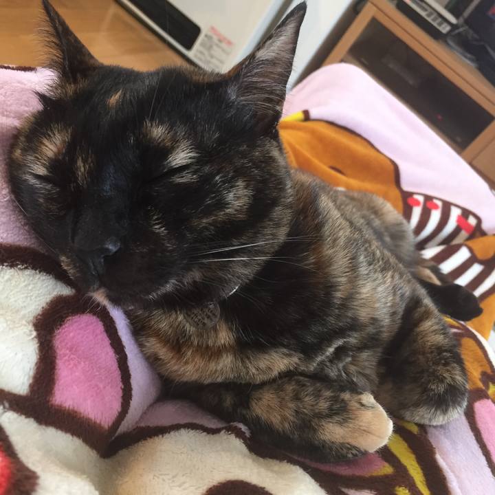 E8b4bc29 e396 4542 9e9a 751e12961829