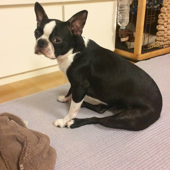 E8b5410f fe89 4b06 a3b5 1dcfea5c7af2