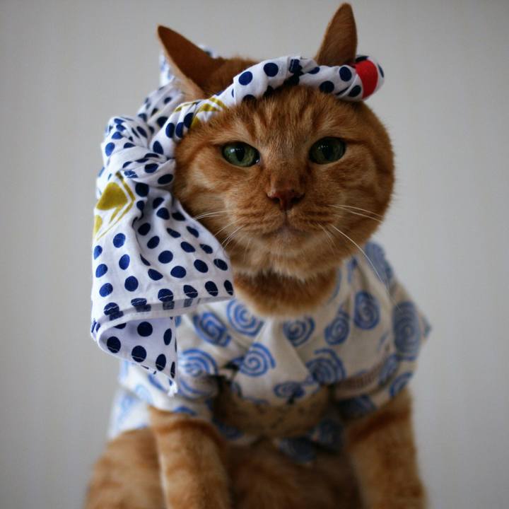 E8b5c34f 0383 4398 8fc9 96fa8b5b03ca