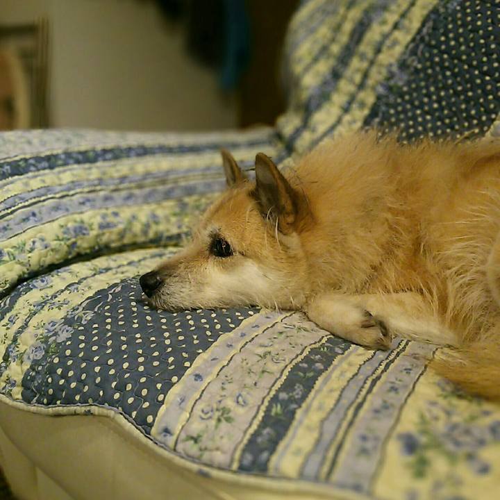 E8b616b7 0b83 47b7 80ff cac867b5ac93