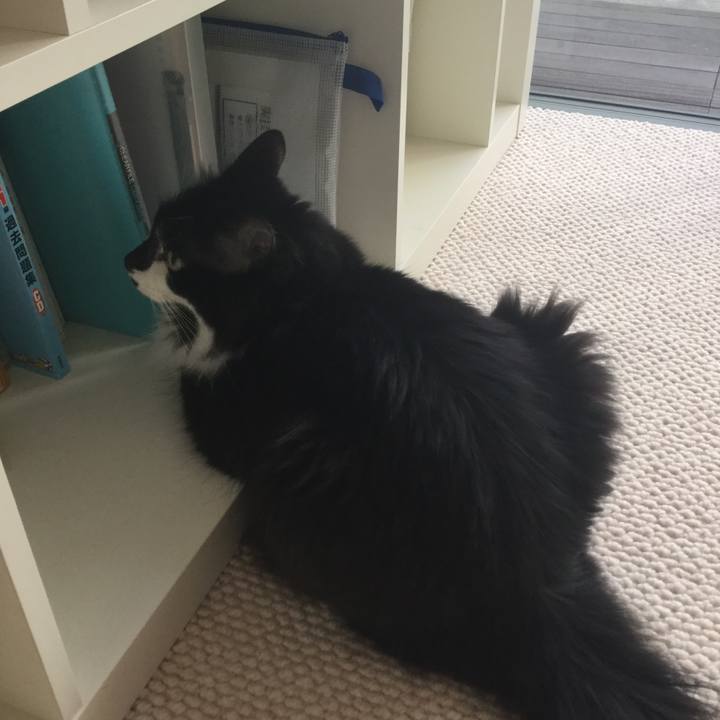 E8b662fb 200c 479a 8e44 36195016e34e