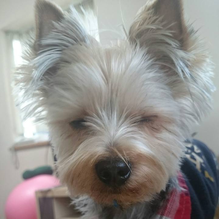 E8b763ce d510 4e84 ad26 f7841c91035e