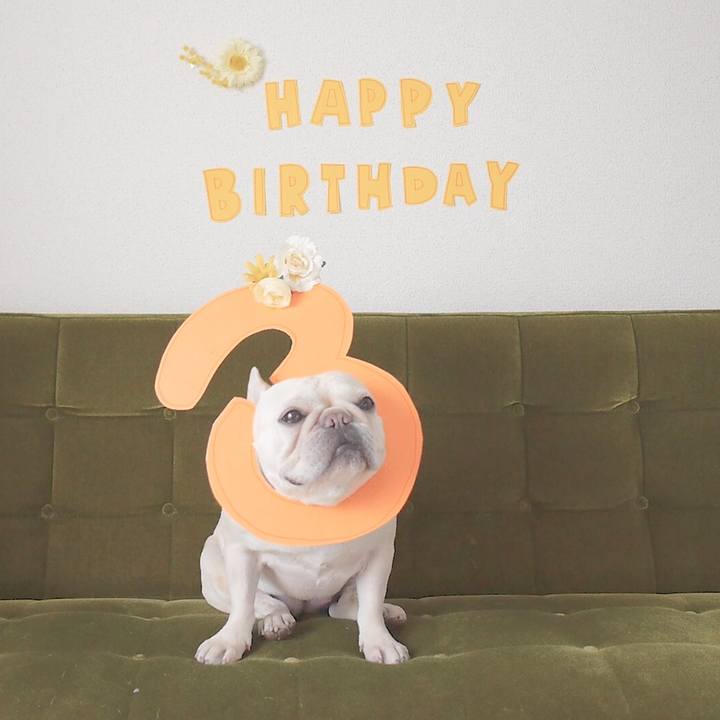 E8b78ed0 fc57 40f8 9057 7d0ed3e43e2f