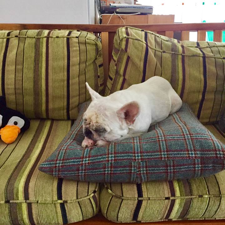 E8b7c996 e3f4 4fa6 90fb a9bb04f1e7ff