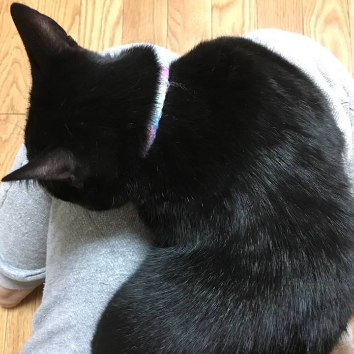 E8b81938 2084 4ee6 9993 d30a53398ab1