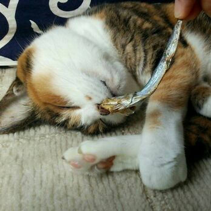 E8b8976f c3d5 4e21 8c38 7ac4e9bbd54a