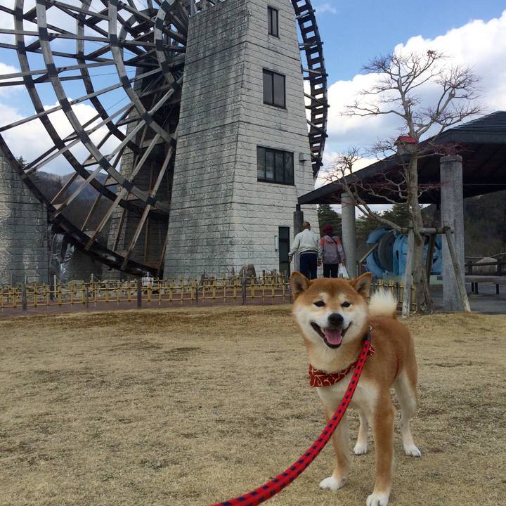 E8b991fc 61b0 48de 9d49 2417de5b8dc7