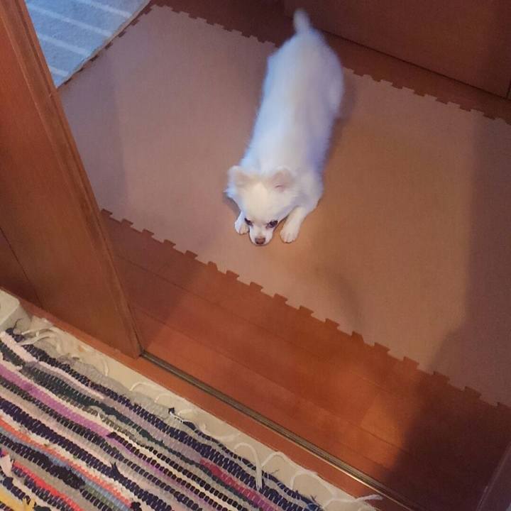 E8b9a104 f785 495f a8f1 4734474f6be5