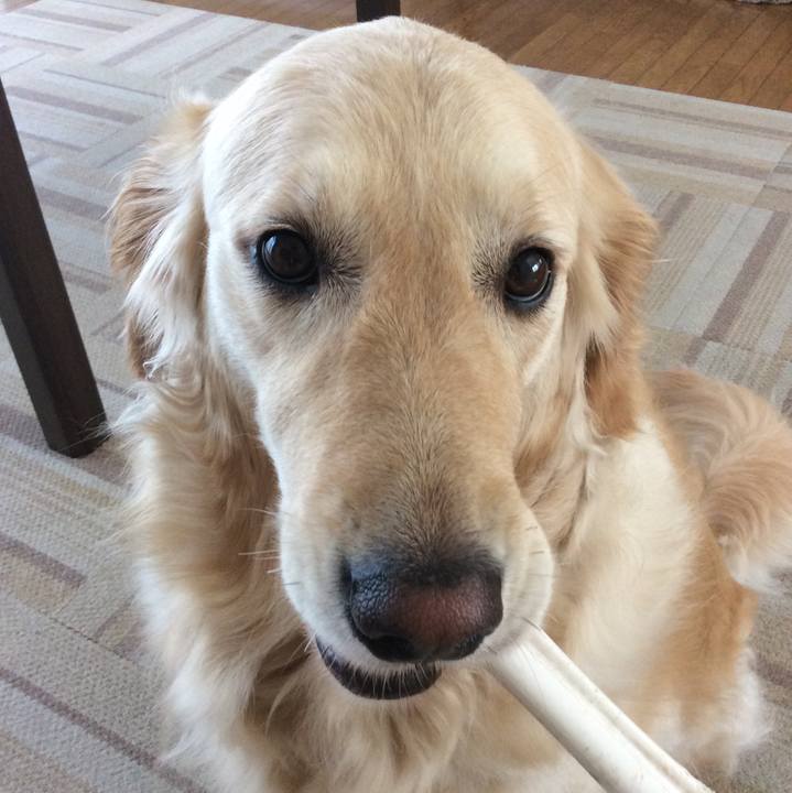 E8b9be8b 7b07 404b a7a3 d65c85ff4491