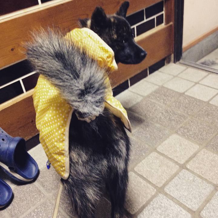 E8ba3012 7149 494c bca8 9c2c55bb6b80