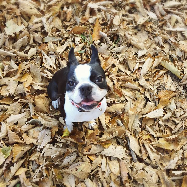 E8ba67b5 e805 4e1c bef1 215020ae836c