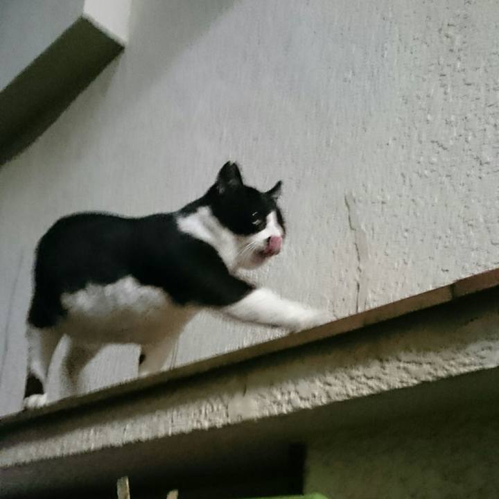 E8bae56d c981 469a abc6 a0624af0ae1f