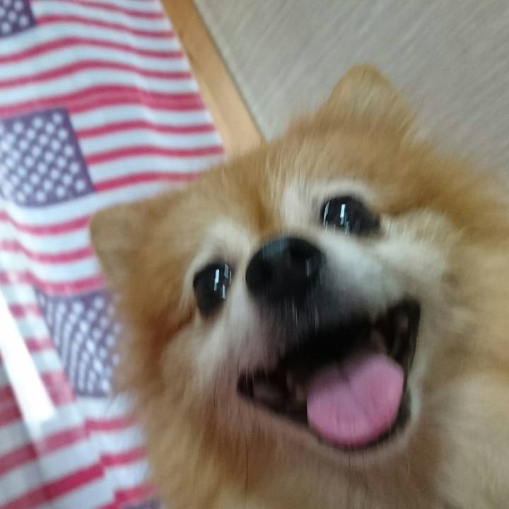 E8bb5434 7283 4d6a a3eb 2597e84a24dc