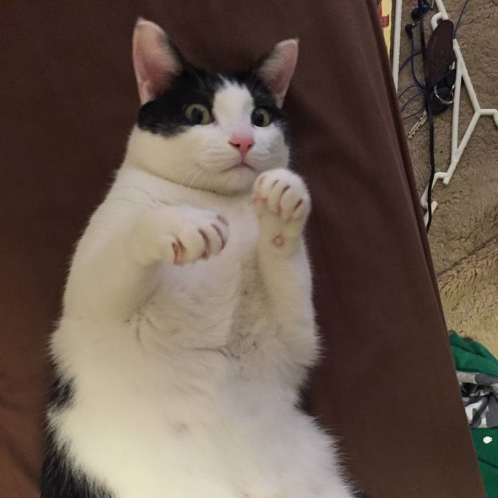 E8bb6c4e c42b 4bb8 9bab cc48a425af07