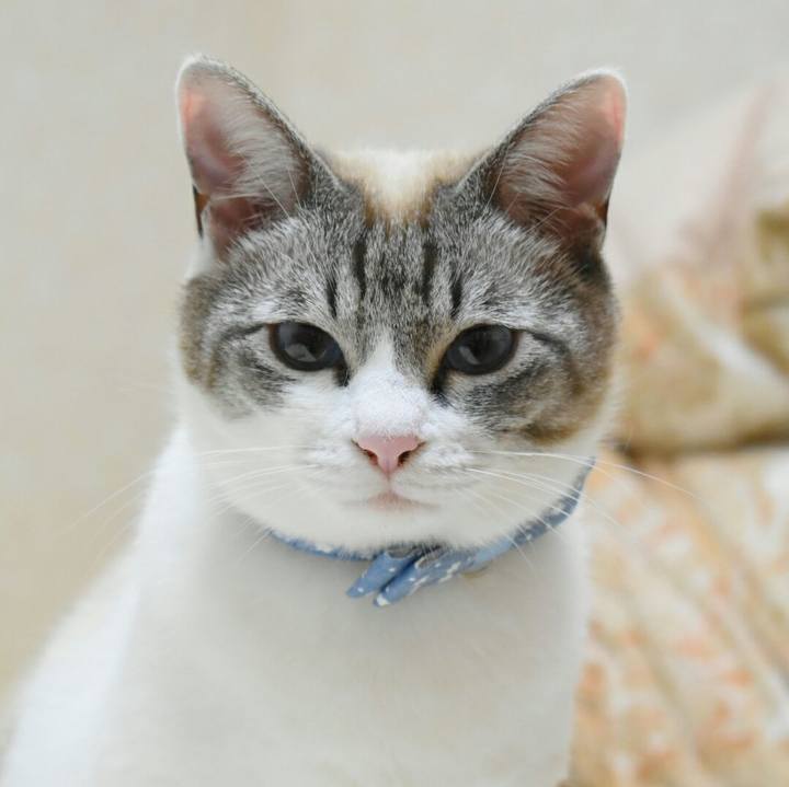 E8bbe9fa d5cb 4285 9379 7ba415bc6d4a