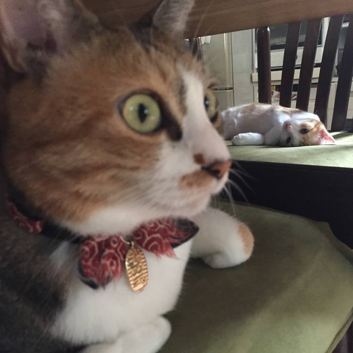 E8bc5f57 d66b 4576 bb3a 1e9f950f134e