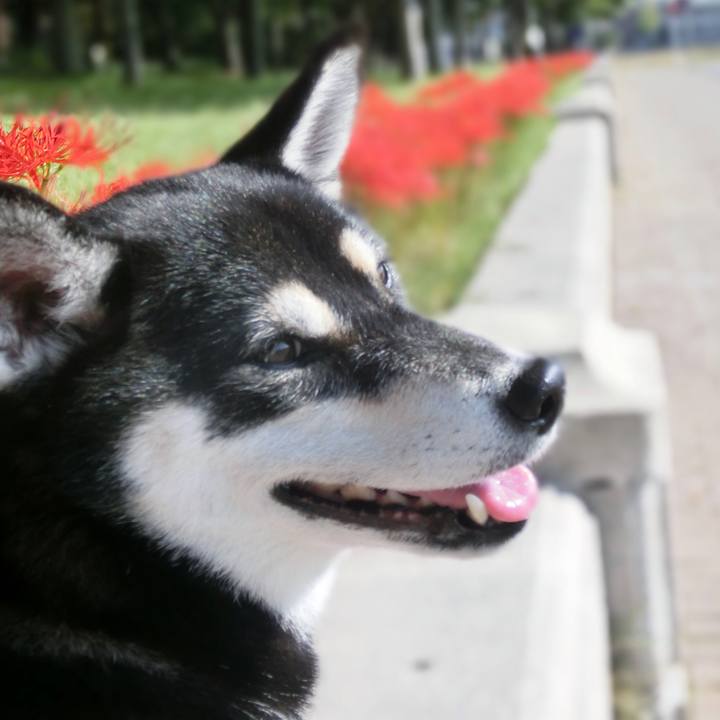 E8bcdbcb 1cf2 433b aca4 f3531ca928b2