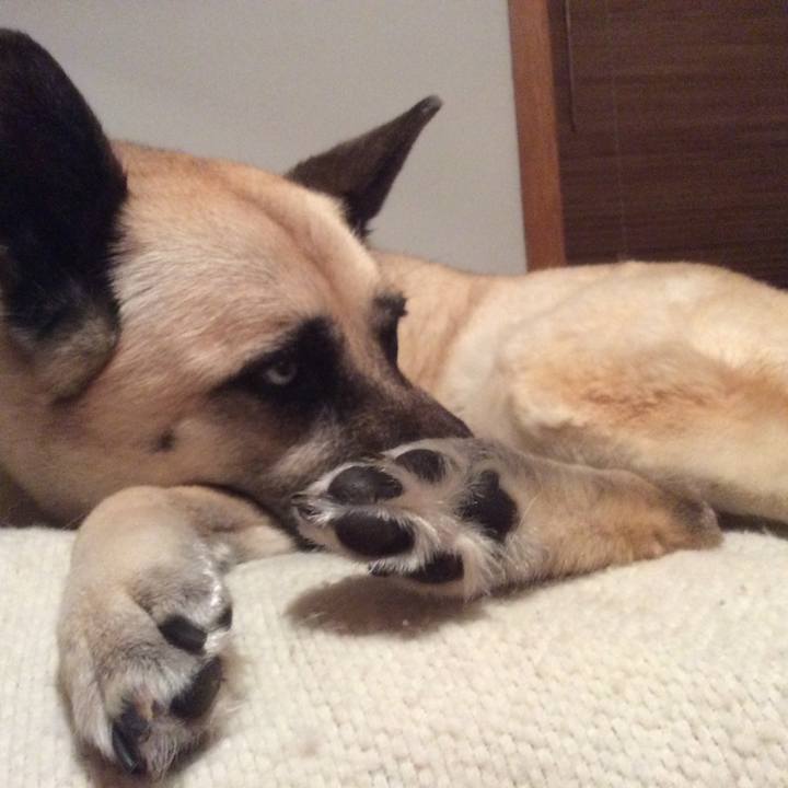 E8be7022 33df 49d8 b07c ebc4cf9df3bb