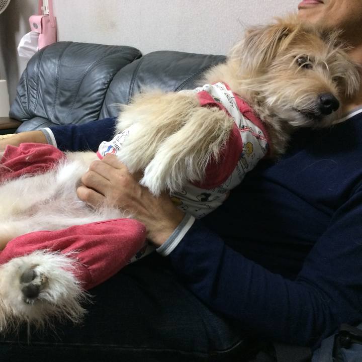 E8beb5e7 f60c 4043 b8c4 fe720ece6fc0