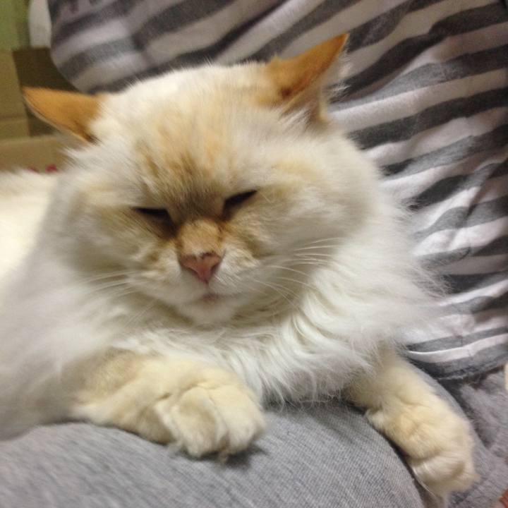 E8bed4d5 af8e 4a90 a0f6 111d39a7b83a