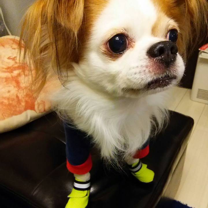 E8befb84 38bf 455d b2c5 42e20396e9a5