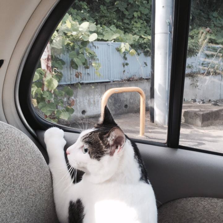 E8beff17 be4b 4bba 8c37 00e7159bc555