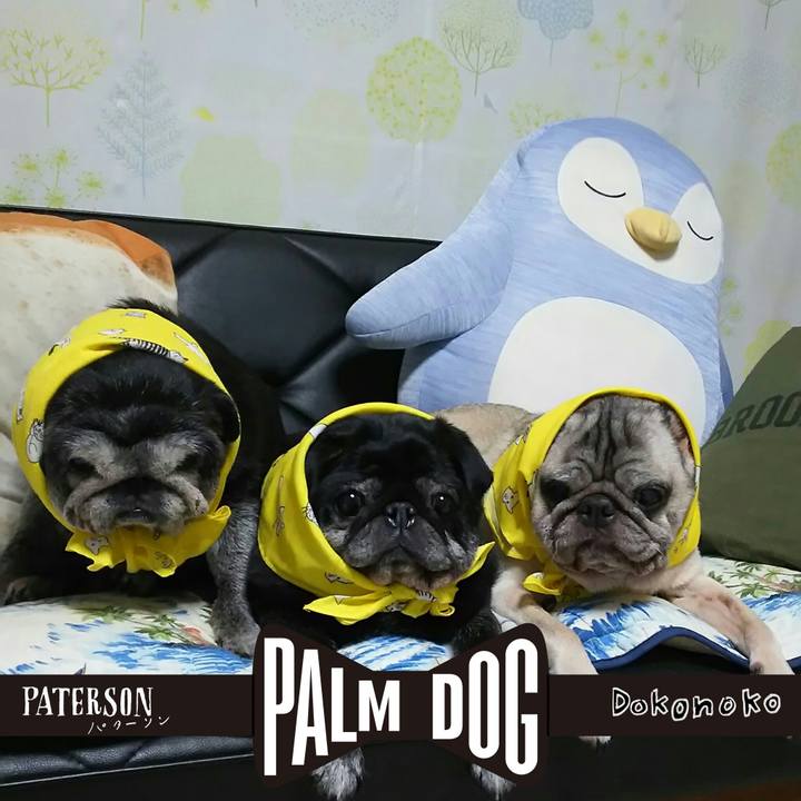 E8bfaa35 a855 4ea8 bb87 ac62a754a672