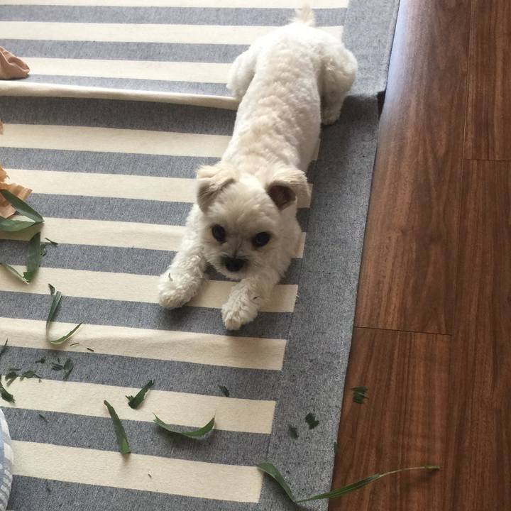 E8bfaf4b 7584 48c4 a479 9a45005ed107