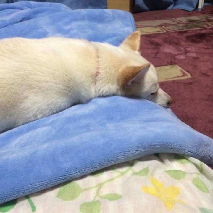 E8c06e1c da8a 429e b8db 3c8162053134