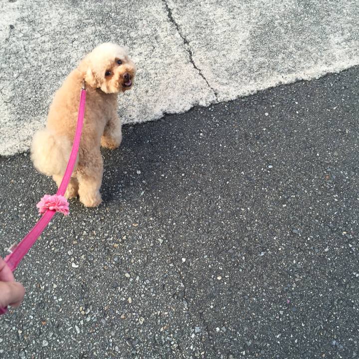 E8c085a5 164e 4815 94a7 106b11aa9ba2