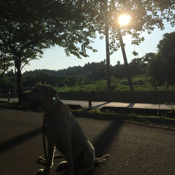 E8c09fa5 b0ad 40cf a6a3 af2ca84f4490