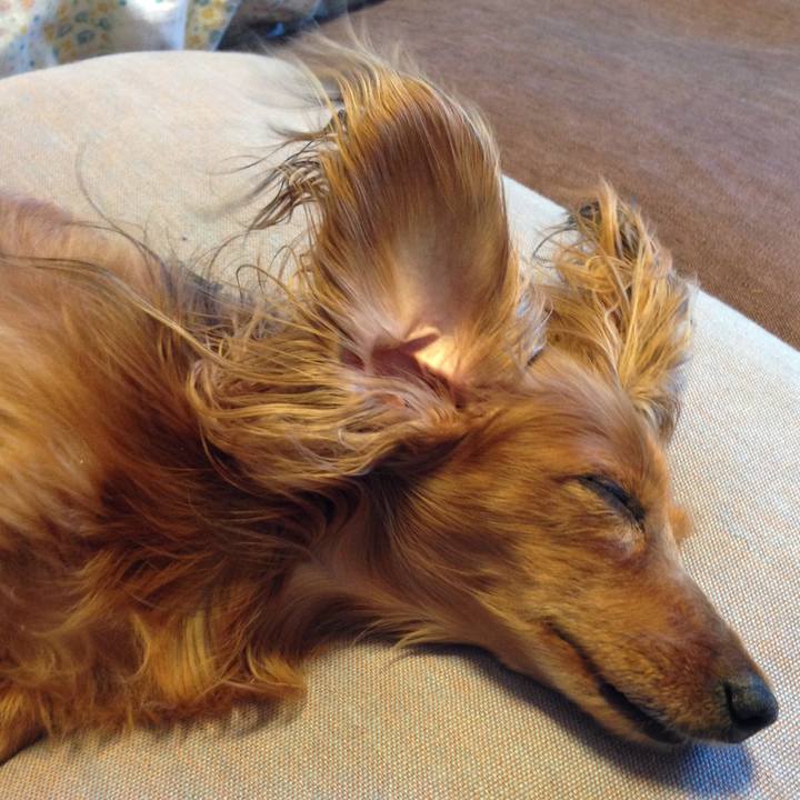 E8c0b98f 88c0 4241 a904 40119c407f1c