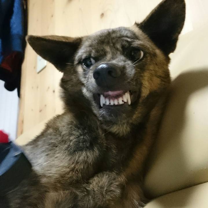 E8c0d43b fa90 4516 a38a 1746b37817bd