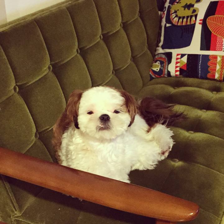 E8c127c6 eb63 432d 9018 162cb394353f