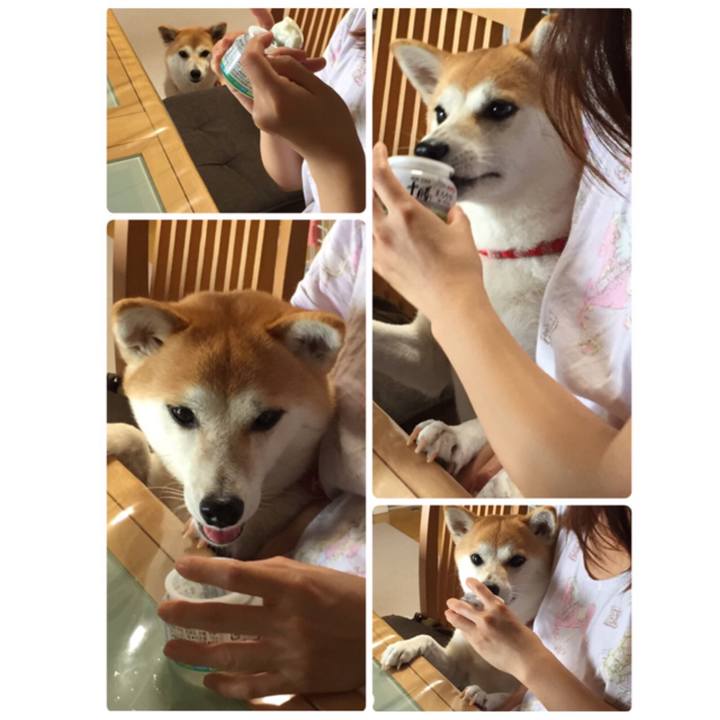 E8c1deda 4bde 4113 b2e0 2f4c7e04beb8